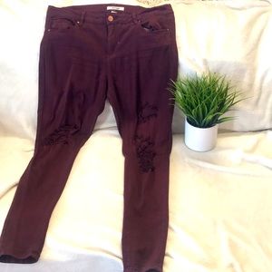 Burgundy distressed pants